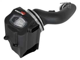 Momentum HD Pro DRY S Air Intake System 51-73006